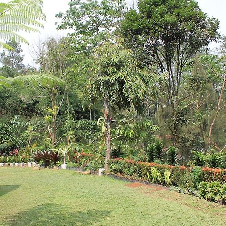 The Forest Villa Bogor Eksteriør billede