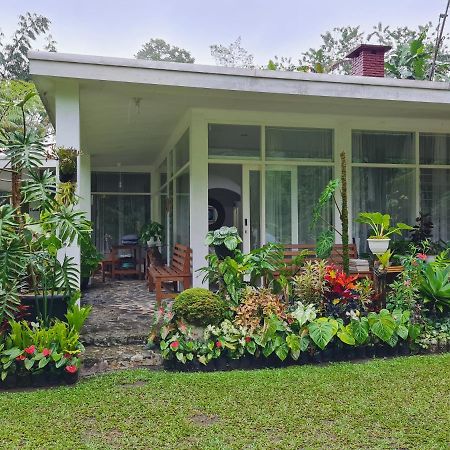 The Forest Villa Bogor Eksteriør billede