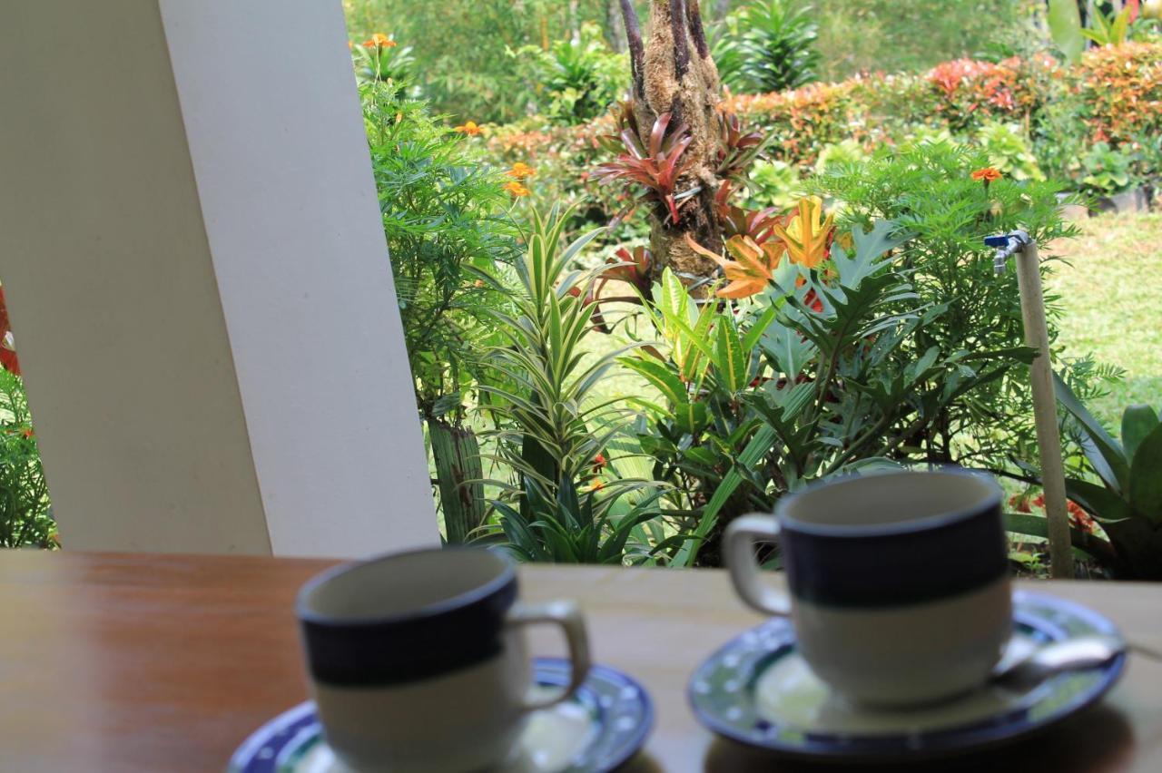 The Forest Villa Bogor Eksteriør billede