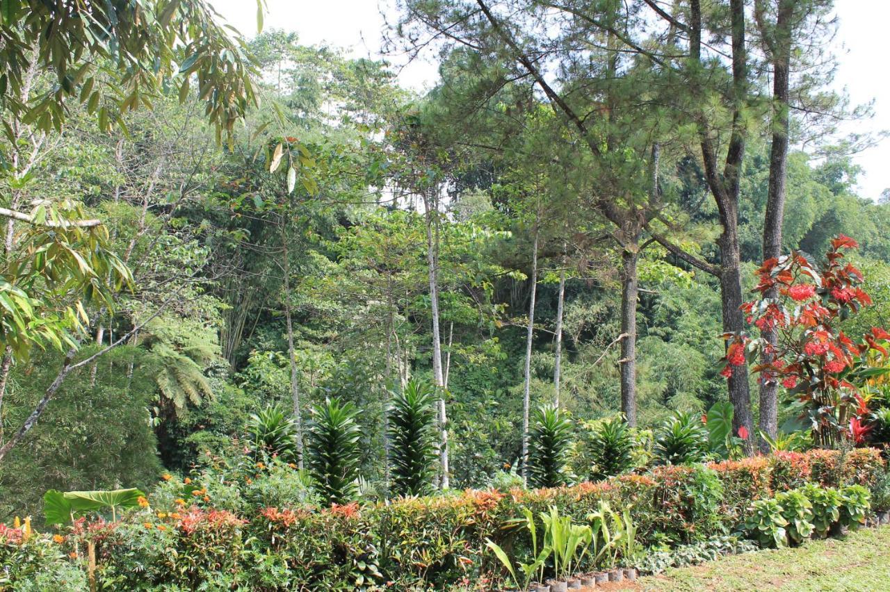 The Forest Villa Bogor Eksteriør billede