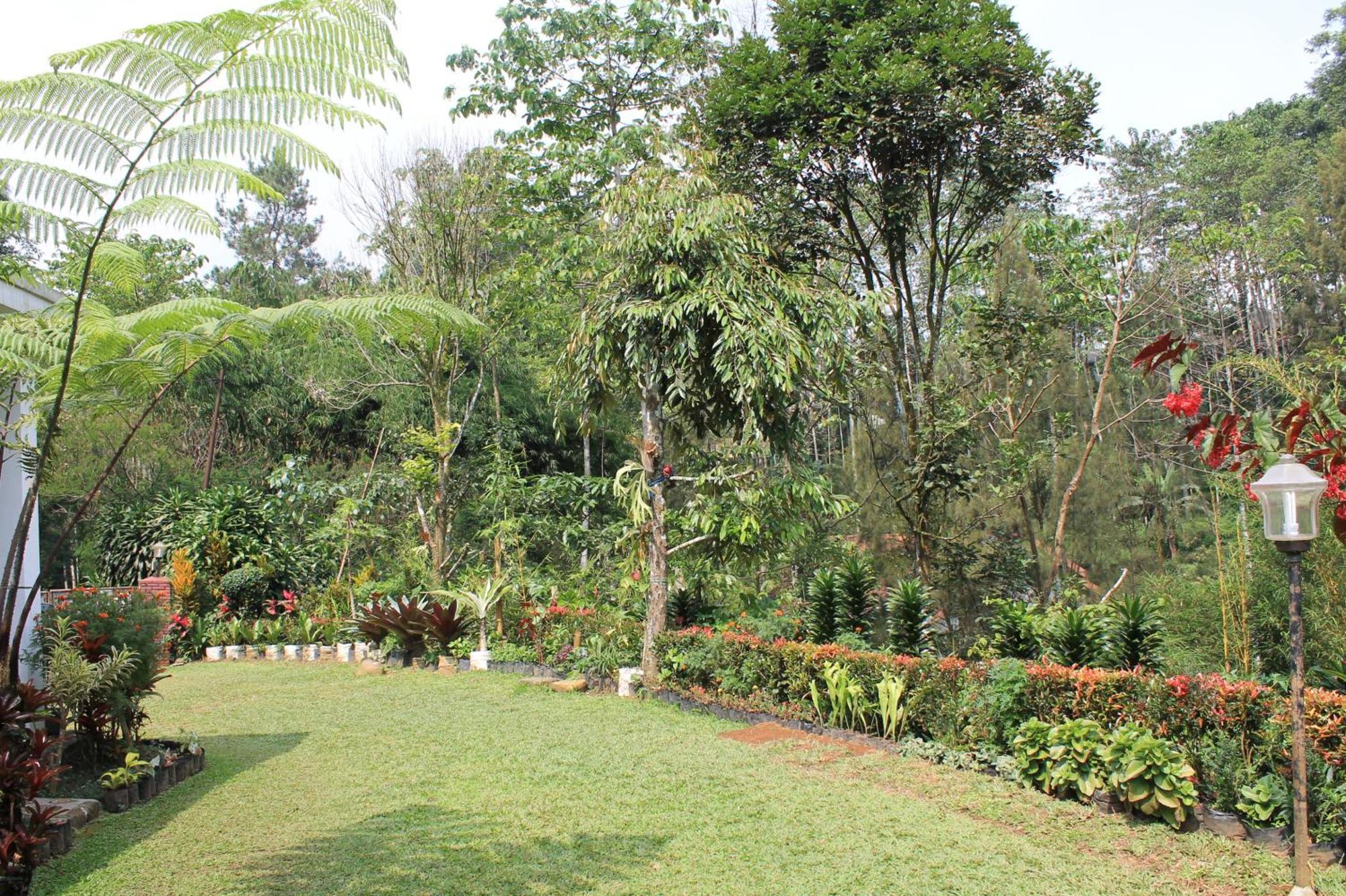 The Forest Villa Bogor Eksteriør billede
