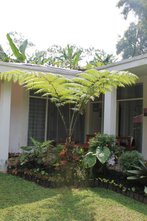 The Forest Villa Bogor Eksteriør billede
