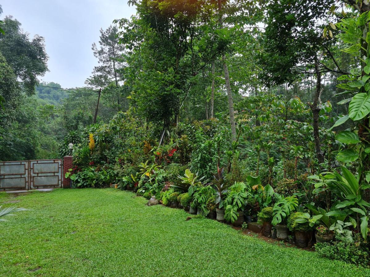 The Forest Villa Bogor Eksteriør billede
