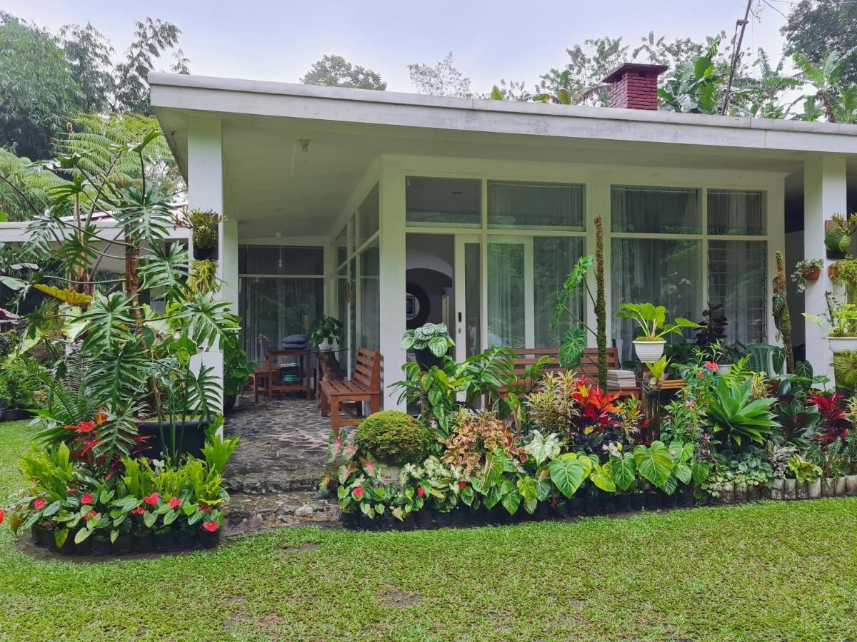 The Forest Villa Bogor Eksteriør billede
